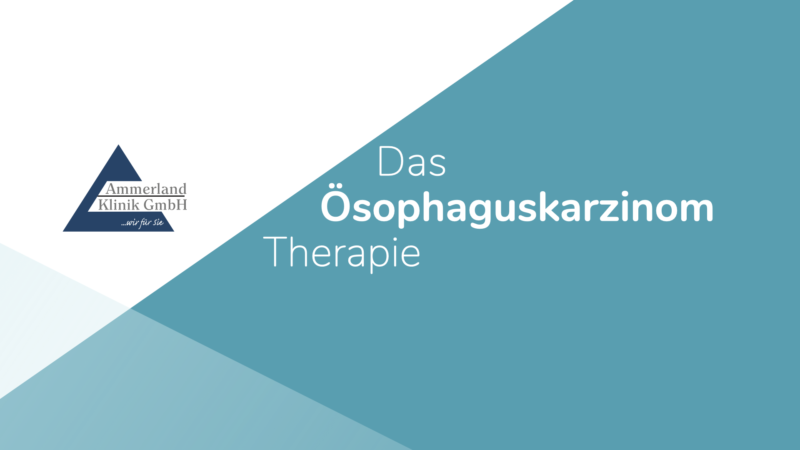 211026 AMKL Therapie 04001